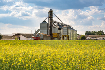 Modern Granary elevator near rapeseed field. Silver silos on agro-processing and manufacturing plant for processing drying cleaning and storage of agricultural products. seed cleaning line © hiv360
