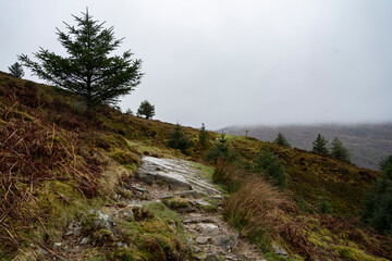 Precipice Walk, Dolgellau, Wales