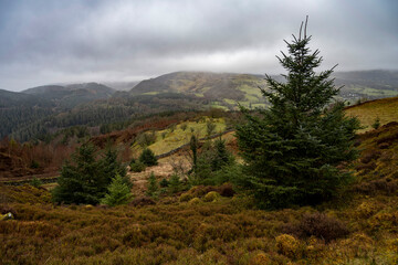 Precipice Walk, Dolgellau, Wales