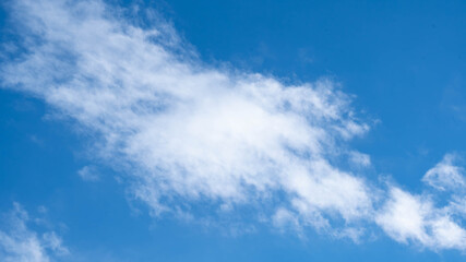 Obraz premium 青空