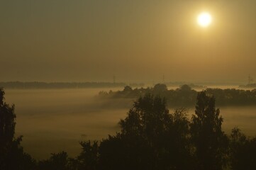 Morning fog