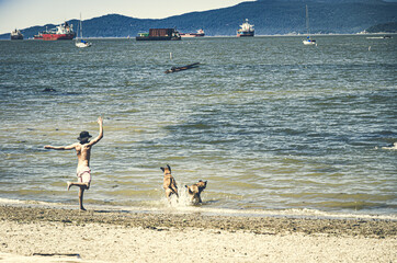 Fototapeta na wymiar Playing with many dogs at the beach