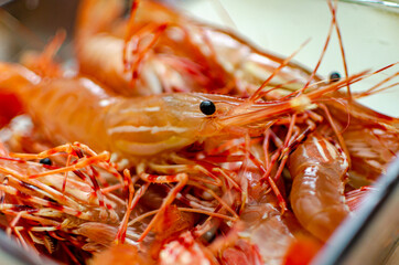 Live orange spot prawns actually they were taste