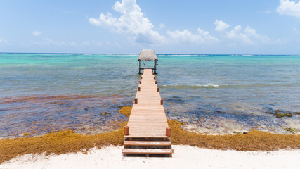 Wide shot of a wooden dock covered with Sargassum seaweed on the beach in Tulum, Mexico.