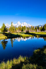 Fototapeta premium Schwabacher Landing in the early morning in Grand Teton National Park, Wyoming, with mountain reflections on the Snake River