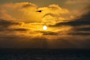 Nordsee, Meer, Strand, Sonnenuntergang, Sylt