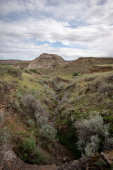 Dinosaur Provincial Park in Alberta, Canada, a UNESCO World Heritage Site