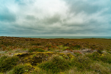 Sylt, Nordsee, Nordseeküste, Dünenlandschaft, Schleswig Holstein, Deutschland
