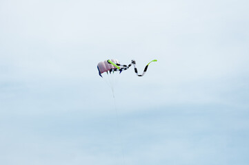 kite flying in the sky