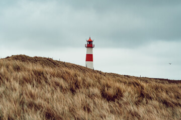 Leuchtturm Landschaft, Sylt, Nordsee, Nordfriesland - obrazy, fototapety, plakaty