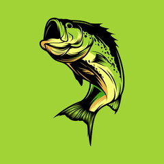 bass fish vector illustration