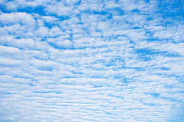 Fototapeta na wymiar Blue sky and white cloud. Clear skyscape, fresh clean air no pollution of PM 2.5. Heave theme.