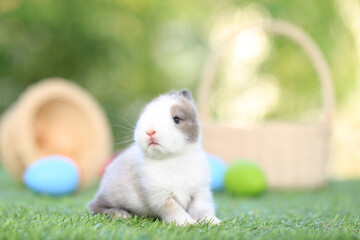 Baby cute and adorable rabbit sitting on green grass. Small and young bunny  is a lovely furry pet.  Easter concept on yellow background, egg and grass with bokeh as nature background