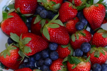Obraz na płótnie Canvas Strawberries and Blueberries