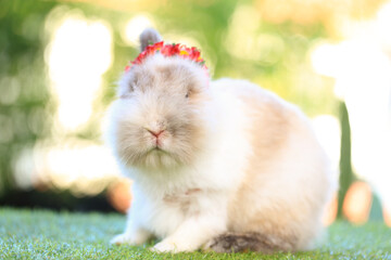 Adult rabbit sits on green graas in nature bokeh as background. Lovely mature bunny wears flower wreath on its head. Cute pet photo.