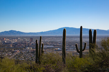 Desert City View Tucson