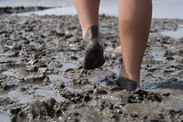 Girl bare foot on mudflat walking 