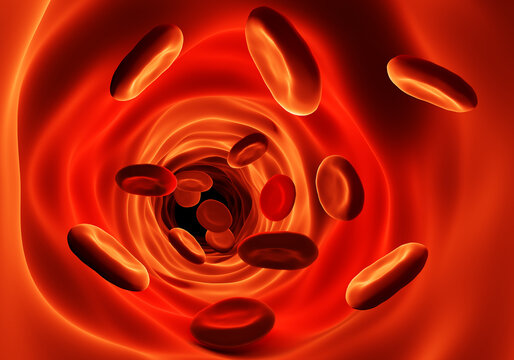 Blood cells flowing through veins and human circulation system. Symbol of medical health care cardiology and cardiovascular suitability. Blood cells in an artery. Treatment of cardiological problems