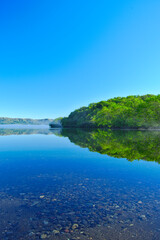 透き通った湖の水面に反射する青空と湖畔の森。