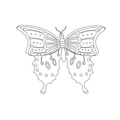 Educational game and coloring for children. Connect the dots on the figures. Insect. Butterfly. Hand drawn. Black and white vector illustration with a pattern for coloring.