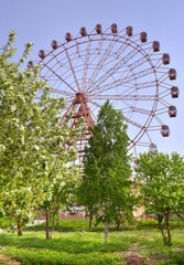 Ferris wheel in the spring garden. The embankment of the Ob River, blooming apple trees against the blue sky. Novosibirsk, Siberia, Russia