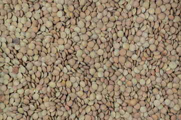 close up look at agroecological lentils