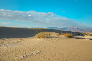 Sand dunes in desert and silhouette of mountains. Mesquite Flat Sand Dunes in Death Valley National Park, California