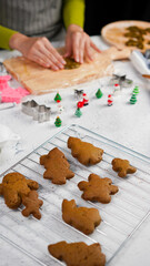 Green ginger bread cookies homemade cooking for Christmas traditional dessert. Kids and family love to prepare to make dough and bake them. Green tea cookies
