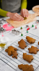 Green ginger bread cookies homemade cooking for Christmas traditional dessert. Kids and family love to prepare to make dough and bake them. Green tea cookies