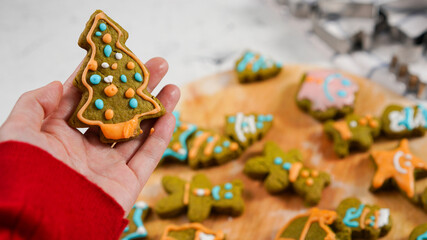 Obraz na płótnie Canvas Green ginger bread cookies homemade cooking for Christmas traditional dessert. Kids and family love to prepare to make dough and bake them. Green tea cookies