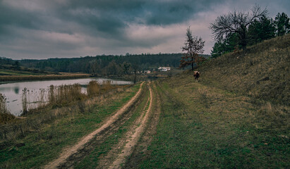 Fields, forests and roads in autumn