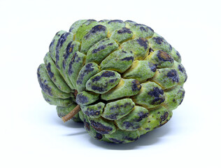 Annona squamosa fruit also known as 
