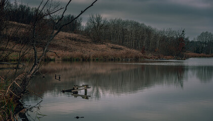 Fields, forests and roads in autumn