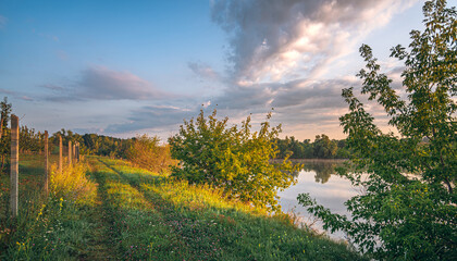 Naklejka premium Summer landscape