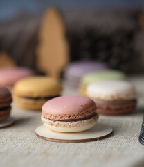 Earth tone macaron set. mix color, french dessert. Food issue.