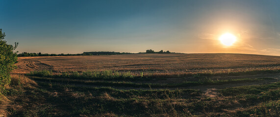 Fototapeta premium Summer moring among fields