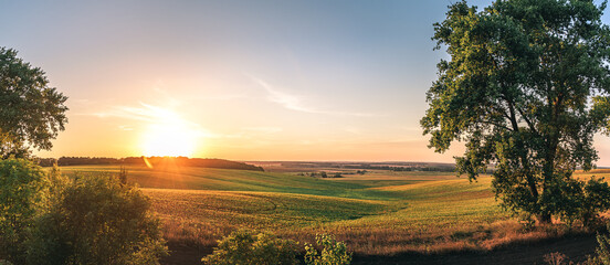 Summer moring among fields
