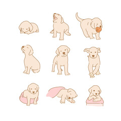 Fototapeta premium Cute Golden Retriever Puppy Characters Collection. hand drawn style vector design illustrations. 