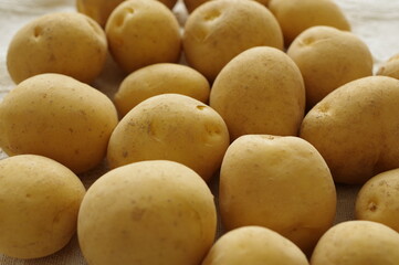 新じゃが（ジャガイモ）