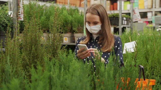 Young woman in a protective mask chooses and buys a tuya at a garden center in early spring.