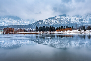 A view of botanical garden with lake in winter season, Srinagar, Kashmir, India