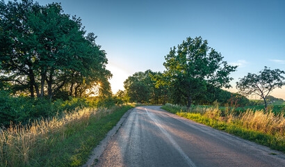 Summer sunset among fields