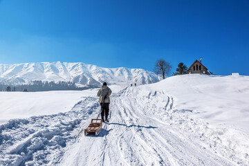 Fototapeta na wymiar Local Kashmiri driving sledge in winter season, Gulmarg, Kashmir