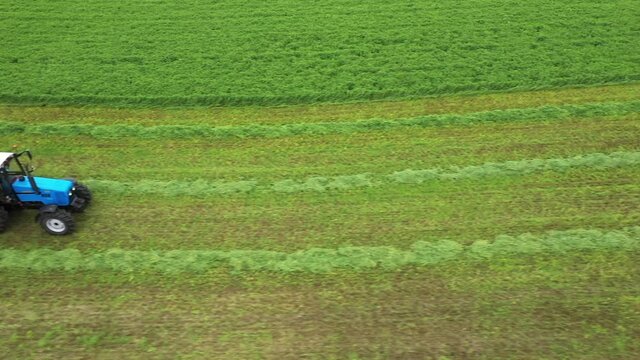 Top view of tractor with hay tedders collecting dry lucerne for balling in field, shoot from drone. Forage harvest. Agricultural field work. Summer work on an agricultural farm. Rural landscape.

