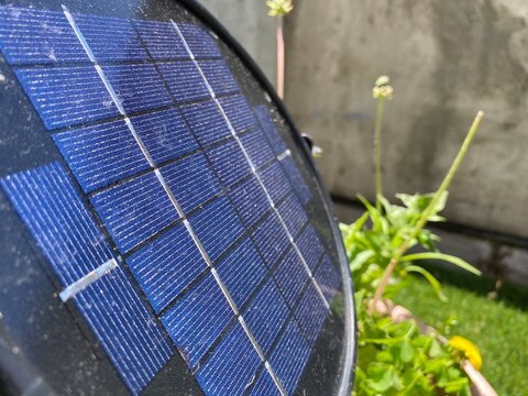 Solar Panels in the Garden
