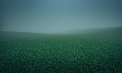 Faded nature in late summer and autumn