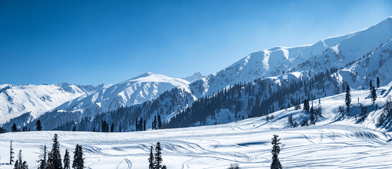 Winter season, Gulmarg is a town, a hill station, a popular tourist & skiing destination, Kashmir,...