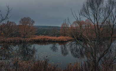 Faded nature in late summer and autumn
