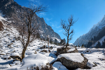 Fototapeta na wymiar Beautiful view of sonmarg in winter, Sonmarg, Kashmir