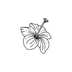 Hibiscus Flower in a Trendy Minimalist Liner Style. Vector Tropical Flower Illustration
